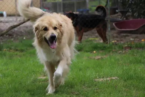 ROX photo 11