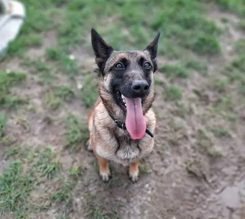 KIPI