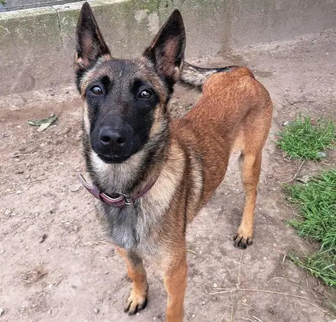 KIPI photo 2