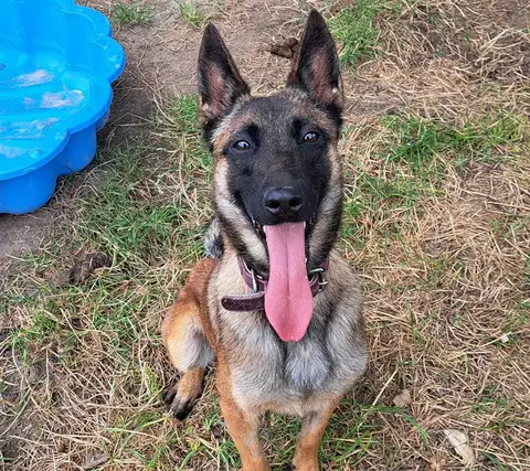 KIPI photo 3