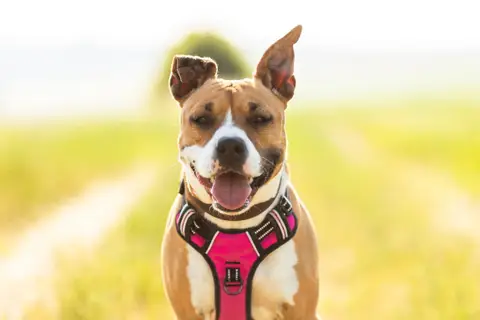 Kayna