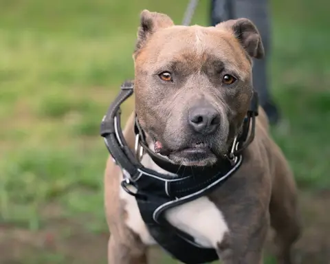 TAYSON photo 2