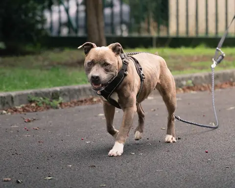 TAYSON photo 3