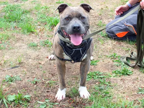 TAYSON photo 5