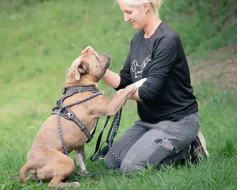TAYSON photo 4