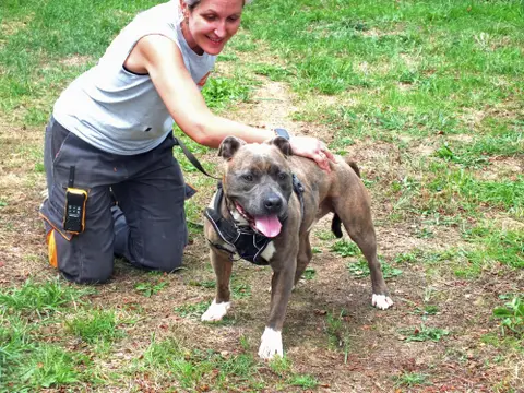 TAYSON photo 6