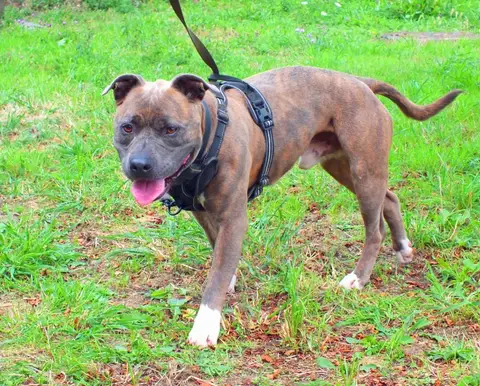 TAYSON photo 7