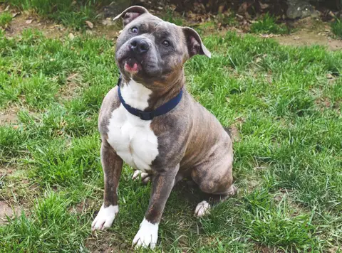 TAYSON photo 8