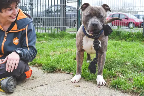 TAYSON photo 9
