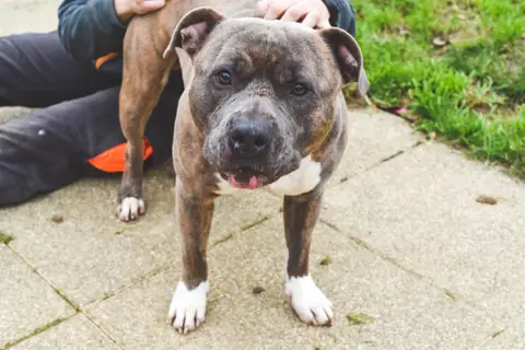 TAYSON photo 10