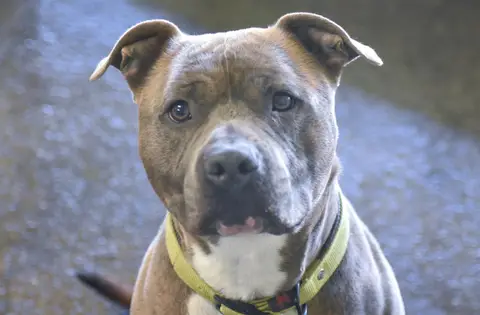 TAYSON photo 11