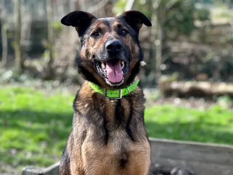 LOKI