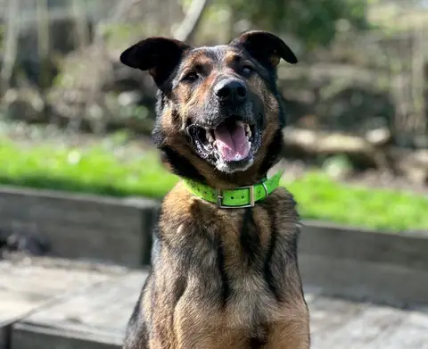 LOKI photo 3