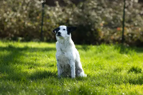 Pablo photo 4