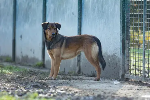 Louba photo 2