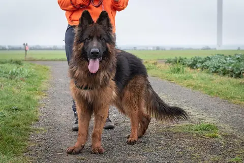 SAM photo 11