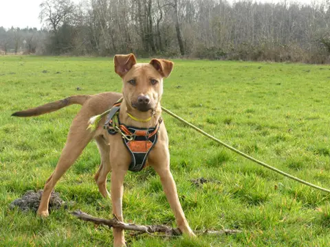 MILO photo 2