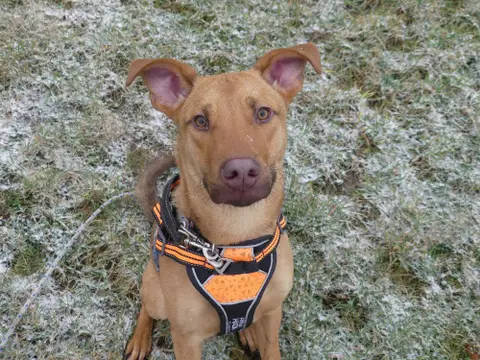 MILO photo 3