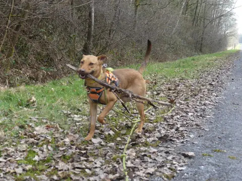 MILO photo 5