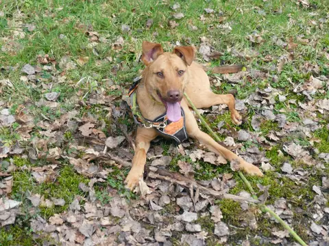 MILO photo 6
