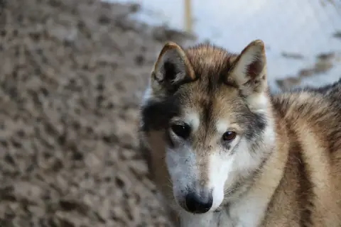 NIKYE photo 5