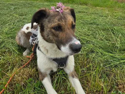 FIDO photo 4