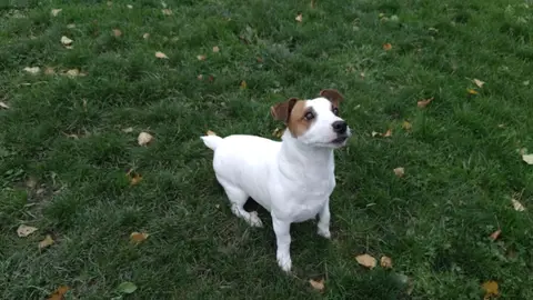 SNOOPY