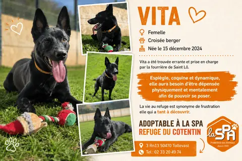 VITA