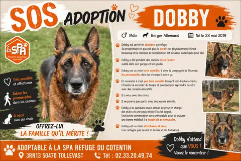 DOBBY
