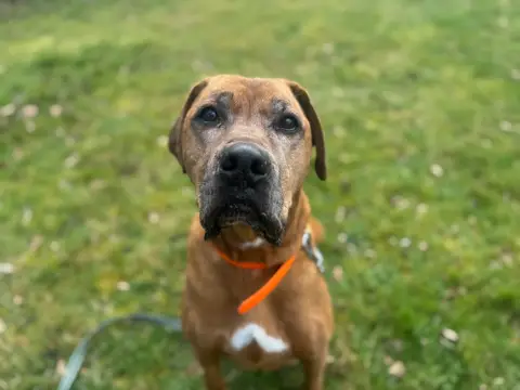 MURPHY