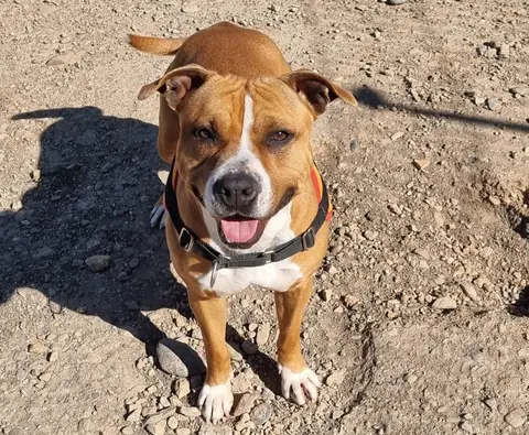 NALA