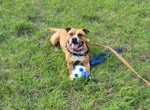NALA photo 2