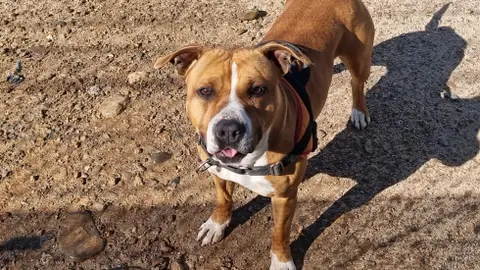 NALA photo 5