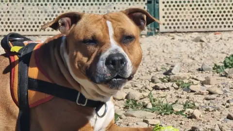 NALA photo 6