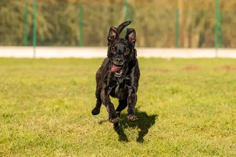 TISCO photo 2