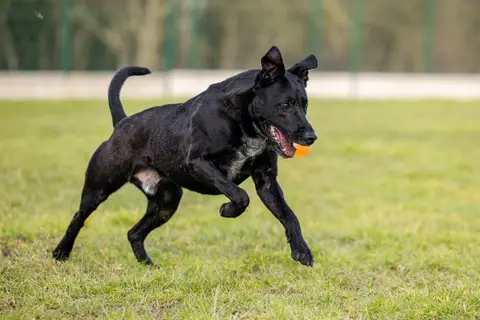 TISCO photo 6