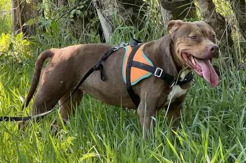 Bella photo 2