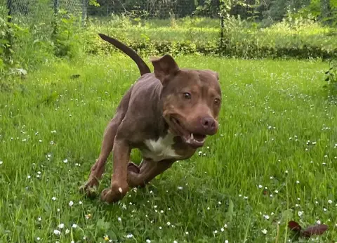 Bella photo 5