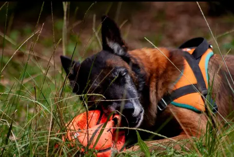 balou photo 3