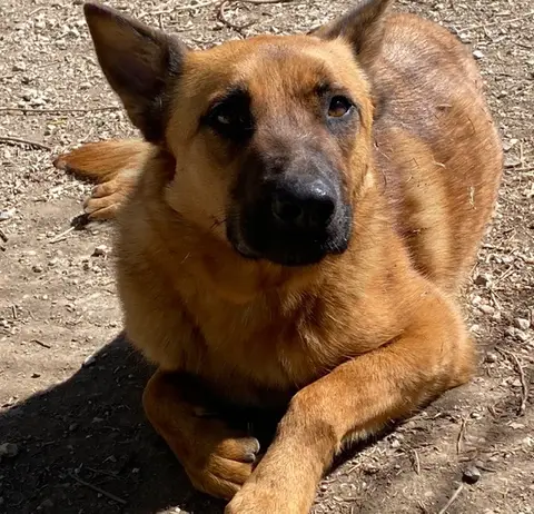 RANGER