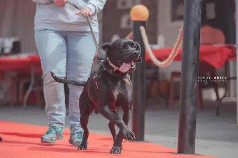 PRACK photo 13
