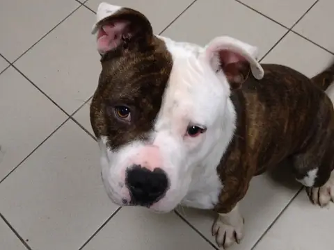 FLOP photo 3