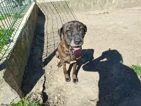 REGLISSE photo 4