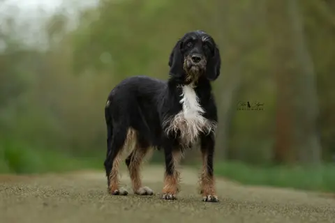 Tyka photo 2