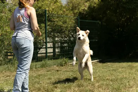 Max photo 3