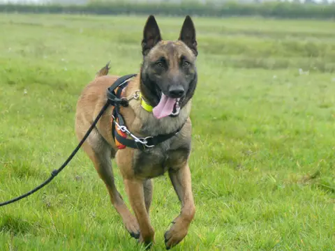 REX photo 2