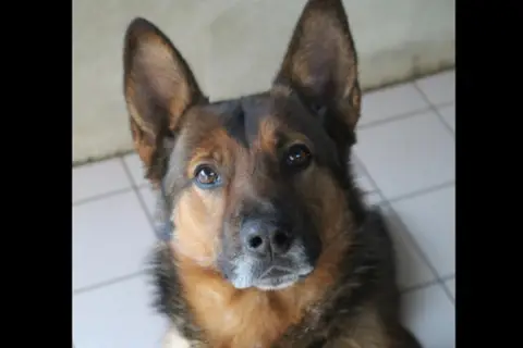 mowgli photo 2