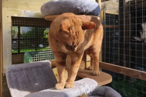 SUNNY