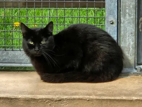 BILLY