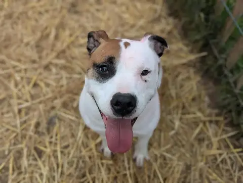 LAIKO